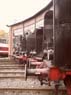 SAM_3338