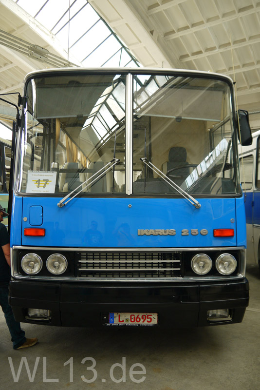 P1110118