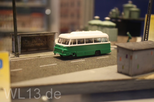IMG_6919