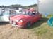 sam_8005 (4)