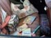 SAM_1071